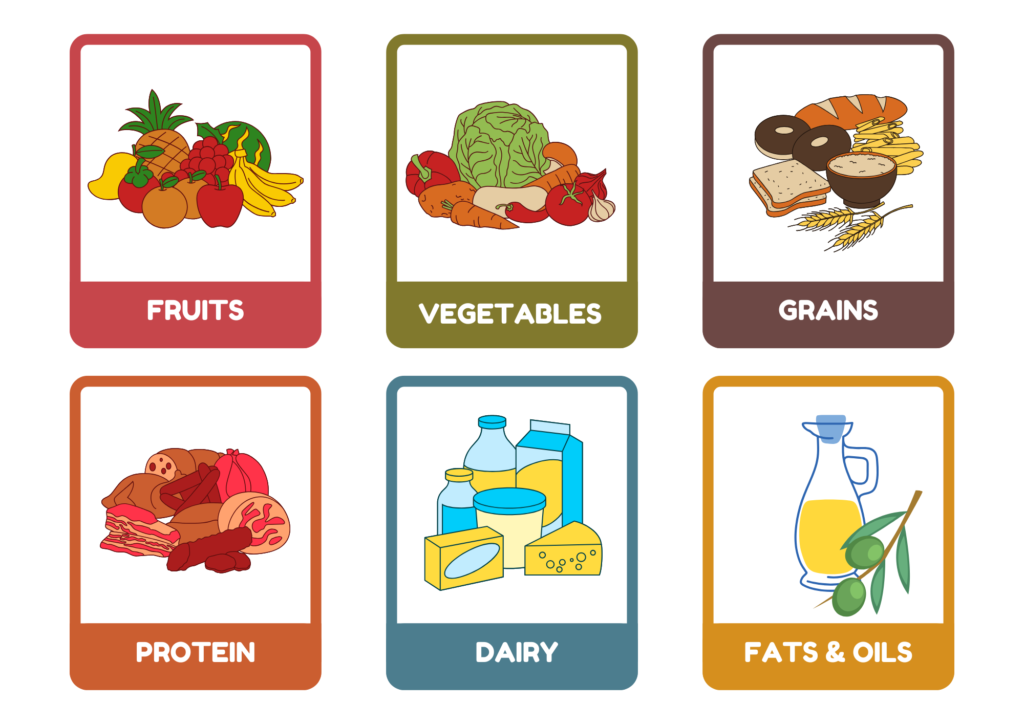 health & nutrition food groups memory flashcards in colorful illustrative style Fitdailylab health & nutrition food