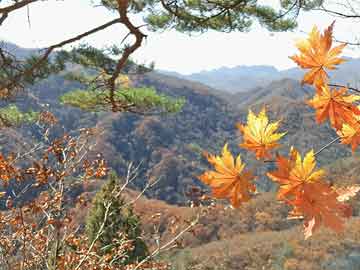 金正恩竟踏上一艘“神秘舰船”？背后真相令人咋舌！