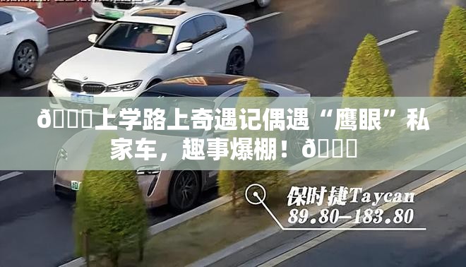 偶遇鹰眼私家车！