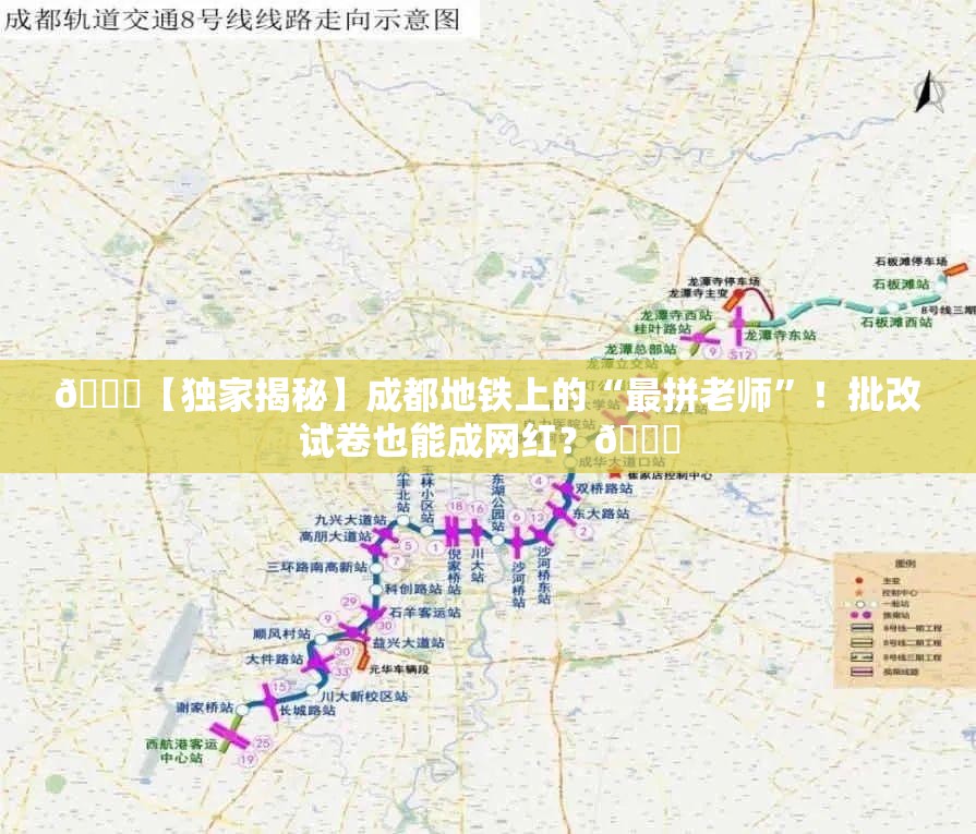 🚀【独家揭秘】成都地铁上的“最拼老师”！批改试卷也能成网红？👀