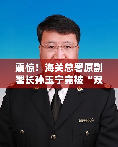 震惊！海关总署原副署长孙玉宁竟被“双开”？背后真相令人咋舌！