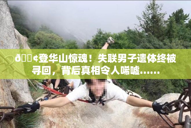 😢登华山惊魂！失联男子遗体终被寻回，背后真相令人唏嘘……