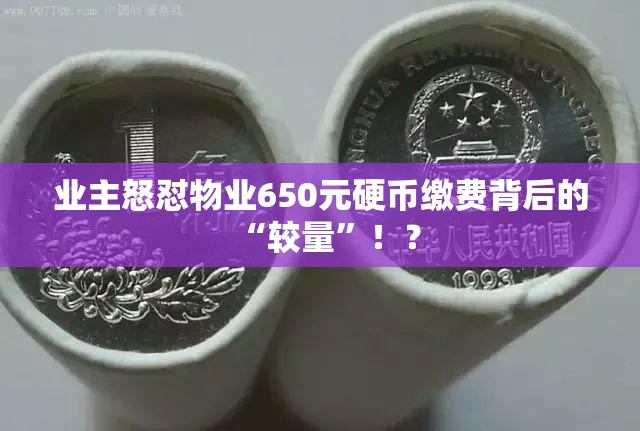 业主怒怼物业650元硬币缴费背后的“较量”！？