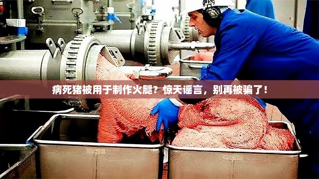 病死猪被用于制作火腿？谣言