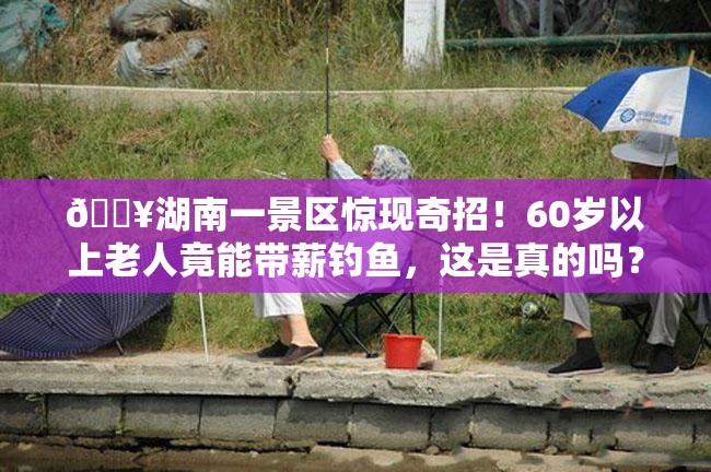 湖南一景区招60岁以上老人带薪钓鱼