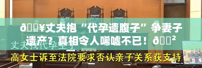 丈夫抱“代孕遗腹子”争妻子遗产？